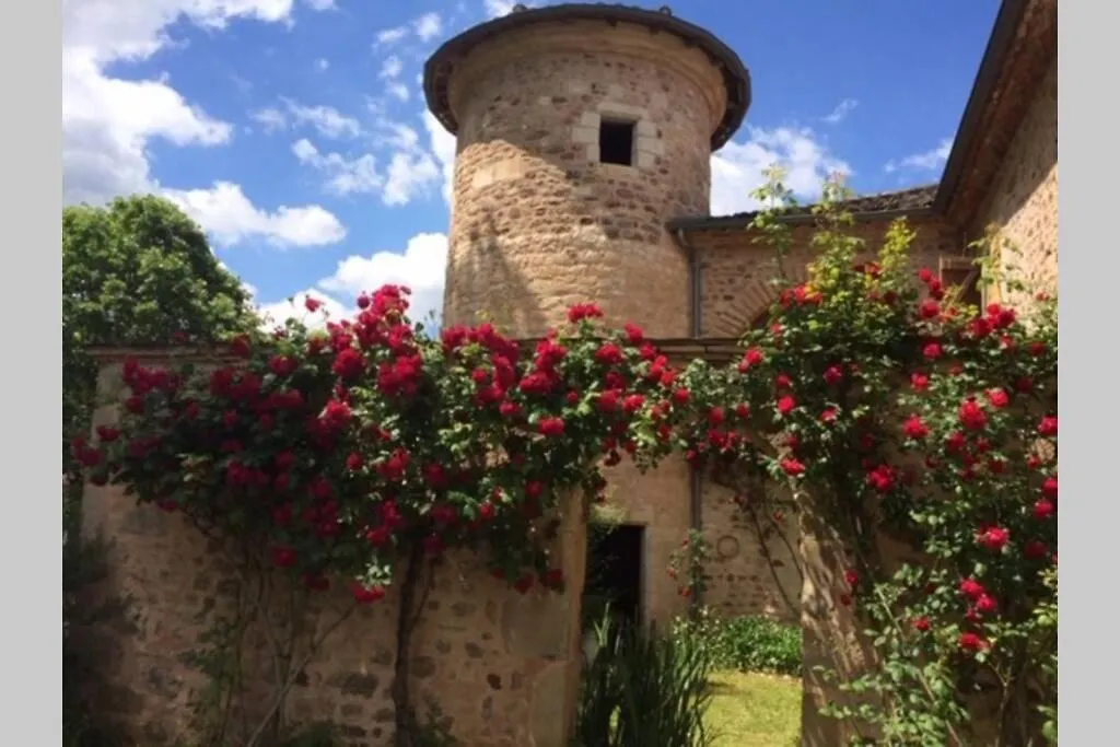 Holiday home Domaine De La Durantie Duplex Vieux Chateau Castelnau-de-Montmiral
