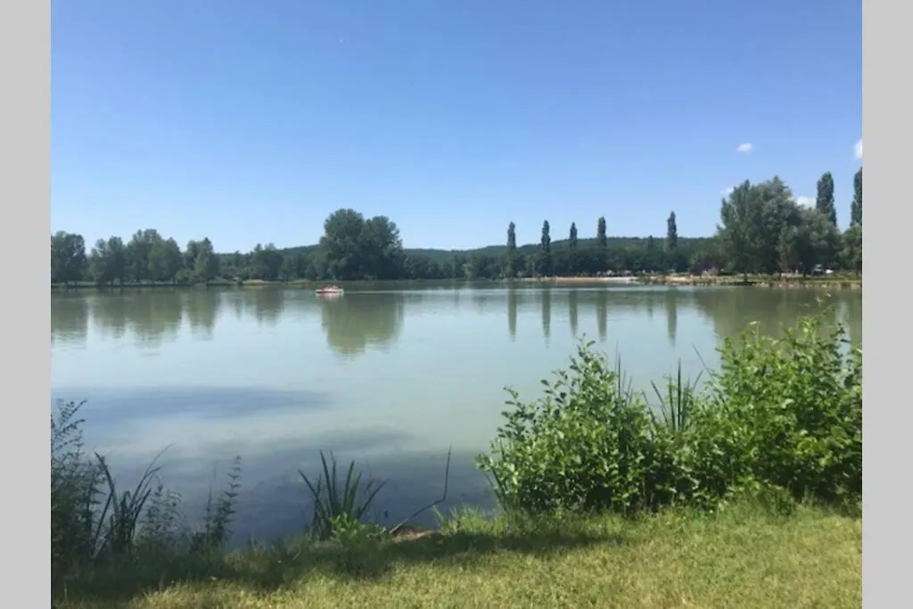 Holiday home Domaine De La Durantie Duplex Vieux Chateau Castelnau-de-Montmiral France